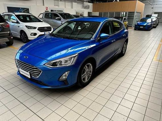 Ford Focus 1.0 EcoBoost 125 CV automatico 5p. Business Co-Pil