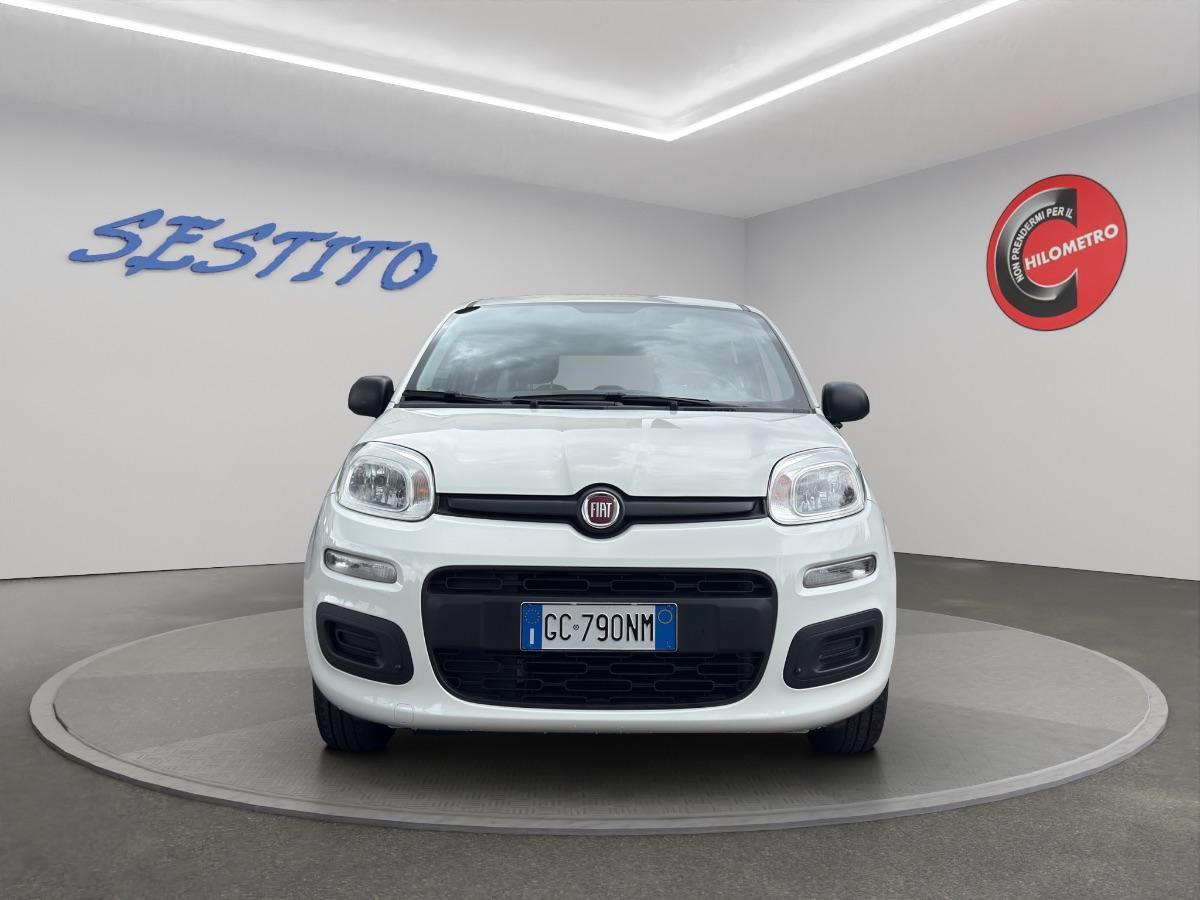 FIAT - Panda 1.2 Easy s&s 69cv my19