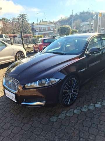 Jaguar XF 3.0 DIESEL V 6 AUTOMATICA CV 241 LUXURY