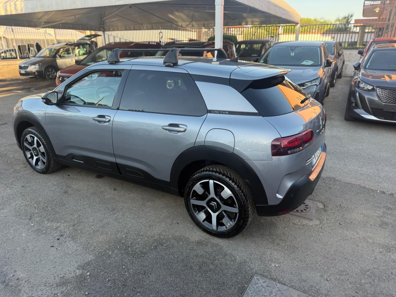 Citroen C4 Cactus BlueHDi 100 Shine Perfetta