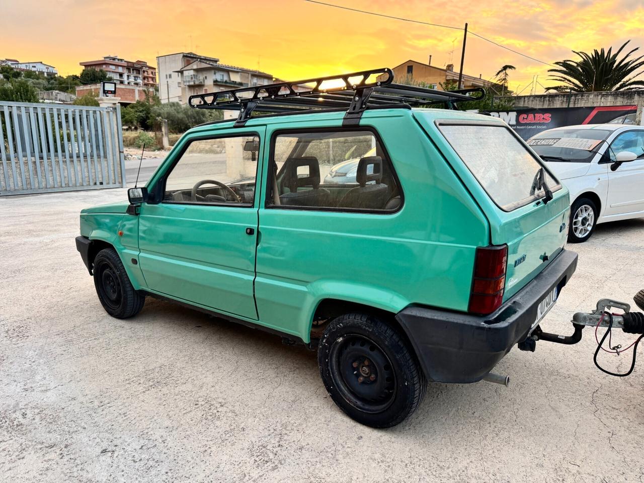 Fiat Panda 1100 i.e. cat Young