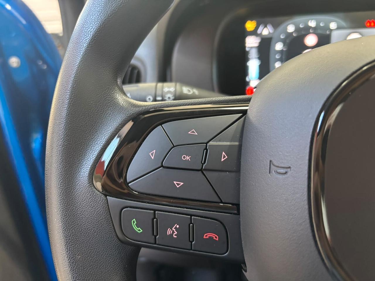 Fiat Panda 1.0 FireFly S&S Hybrid Pandina Icon