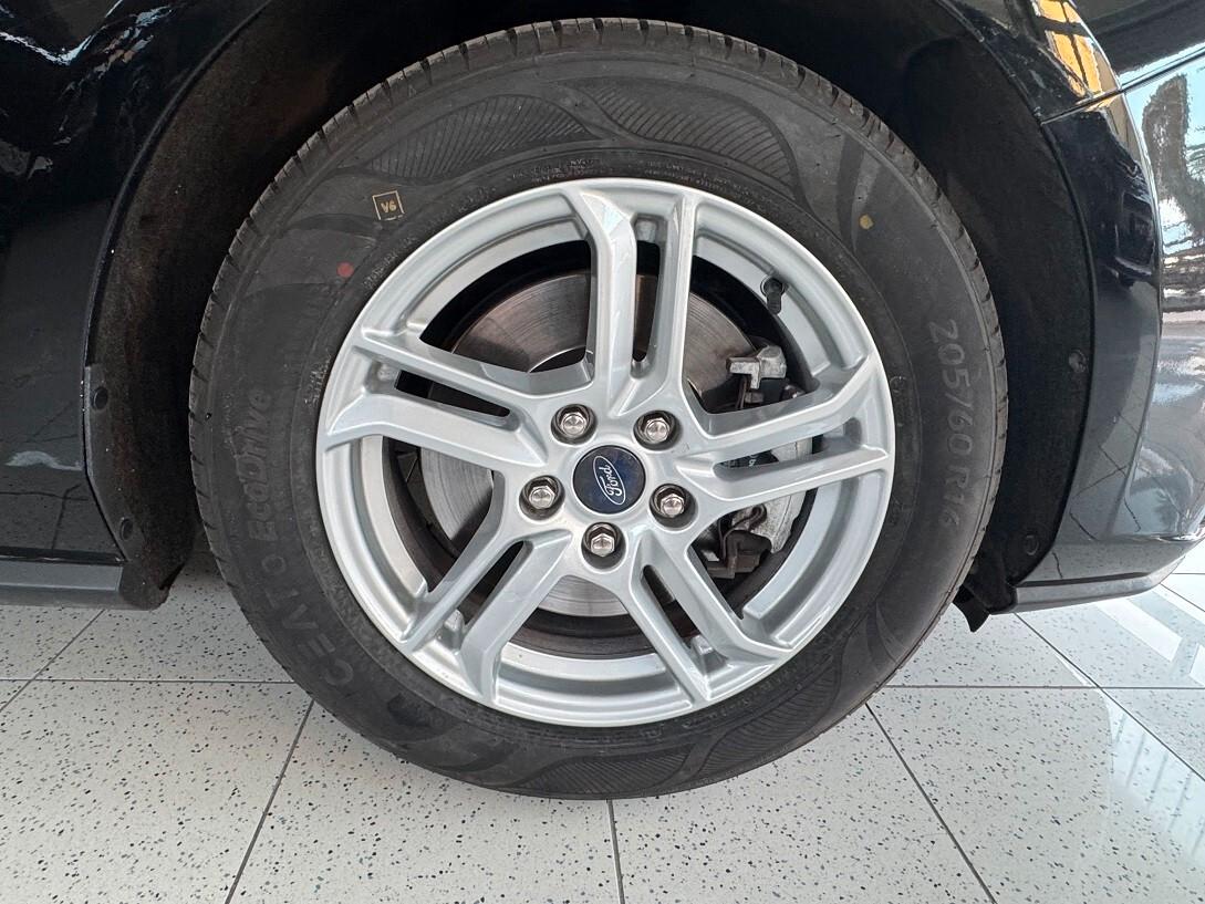 Focus 1.5EcoBlue 120CV Busines GOMMATA BELLA