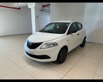 LANCIA Ypsilon 3ª serie - Ypsilon 1.2 69 CV 5 porte Elefantino