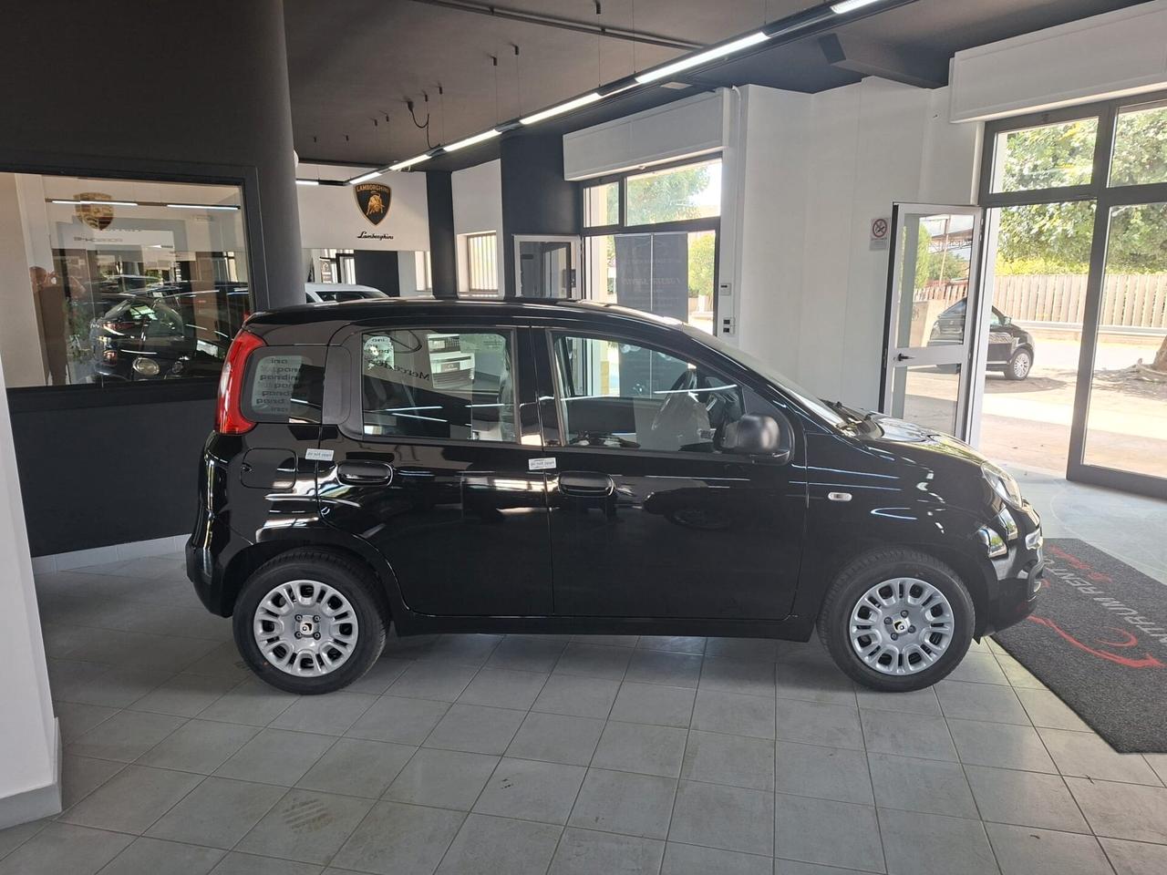 Fiat Panda Pandina 1.0 FireFly 65 CV Hybrid Icon