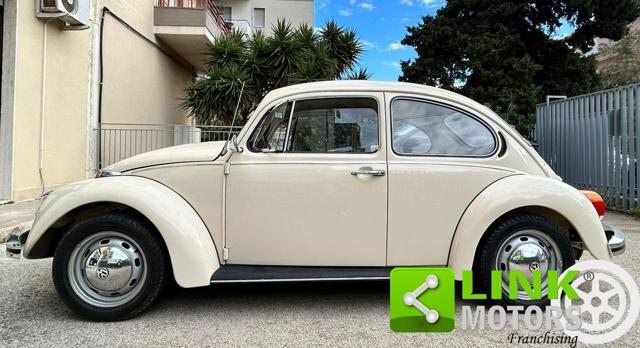 VOLKSWAGEN Maggiolino 11/D11