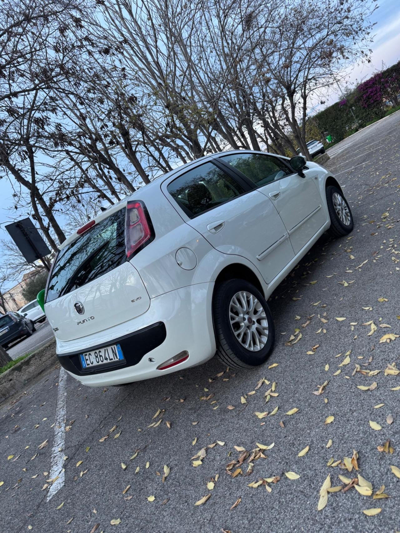 Fiat Punto Evo 1.4 5 porte Emotion Natural Power