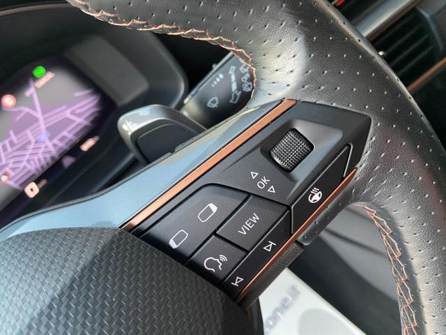 CUPRA Formentor 2.0 TDI 150 CV 4Drive DSG