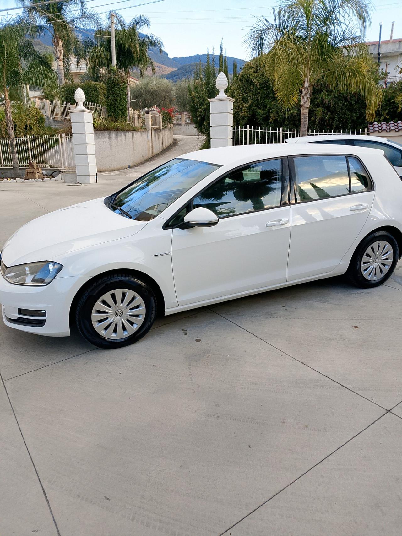 Volkswagen Golf Business 1.4 TGI 5p. Highline BlueMotion