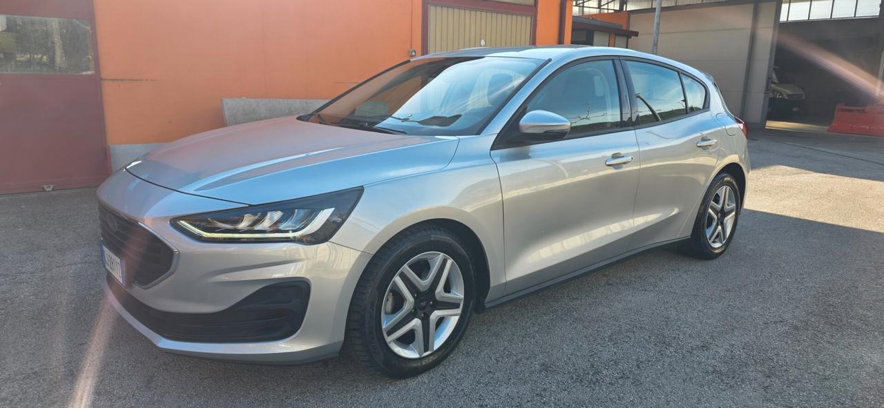 Ford Focus 1.5 EcoBlue 120 CV 5p. Business