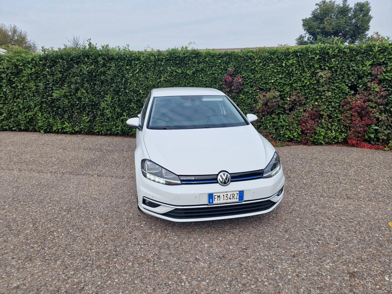 Volkswagen Golf 1.4 TGI 5p. Business BlueMotion