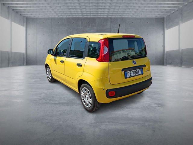 FIAT Panda 3ª serie 1.0 FireFly S&S Hybrid Pop