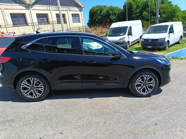 FORD Kuga 2.0 EcoBlue Hybrid 150 CV 2WD Titanium Business