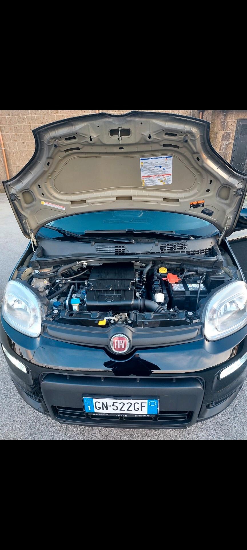 Fiat Panda 1.2 benzina GPL 78 mila km 2023 prov nord Italia