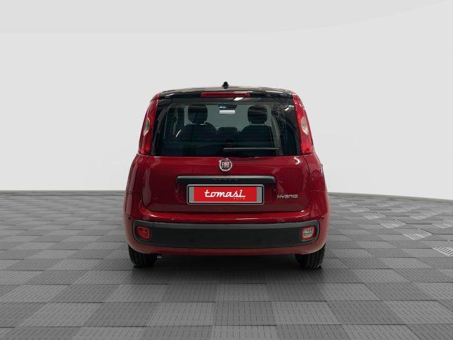 FIAT Panda Pandina 1.0 FireFly 65 CV Hybrid Icon