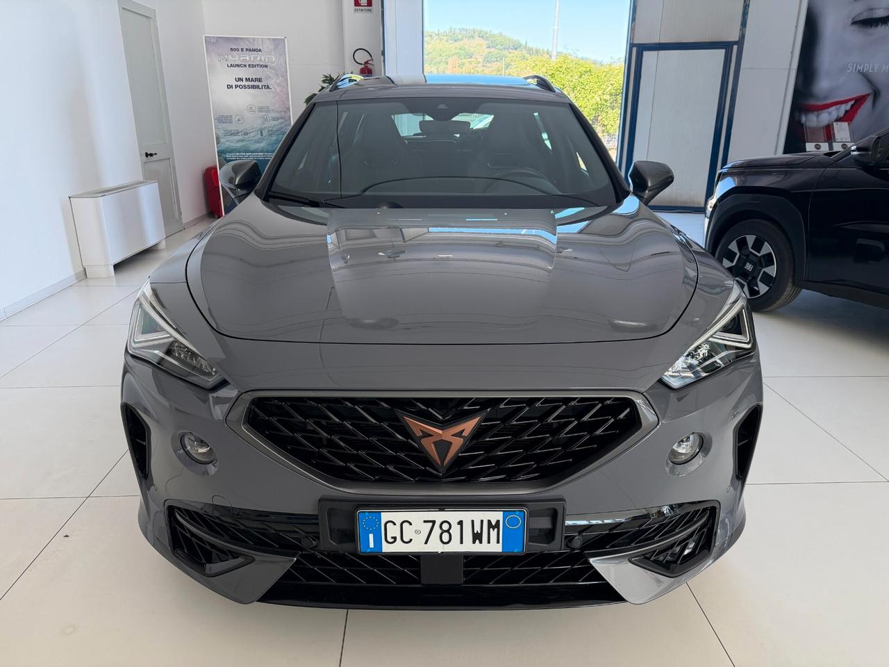 Cupra Formentor 2.0 TSI 4Drive DSG VZ