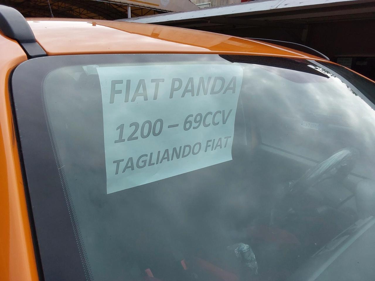 Fiat Panda 1.2 Easy 69 Cv