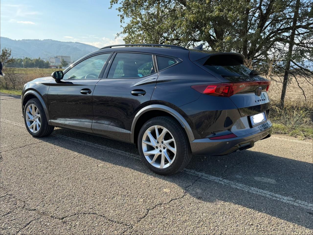 Cupra Formentor 2.0 TDI 4Drive DSG 2023