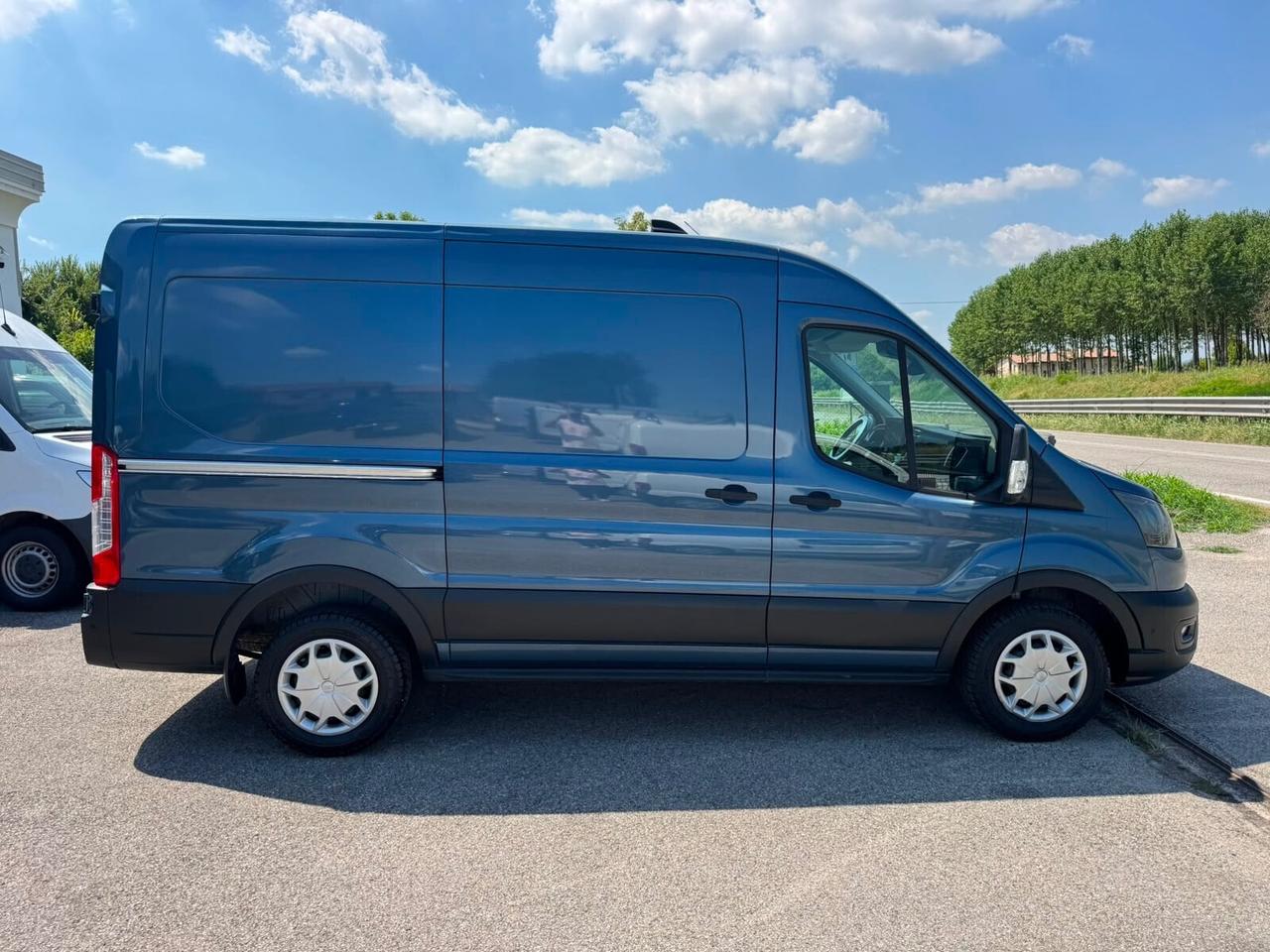Ford Transit 310 2.0TDCi EcoBlue PM-TM Furgone Trend