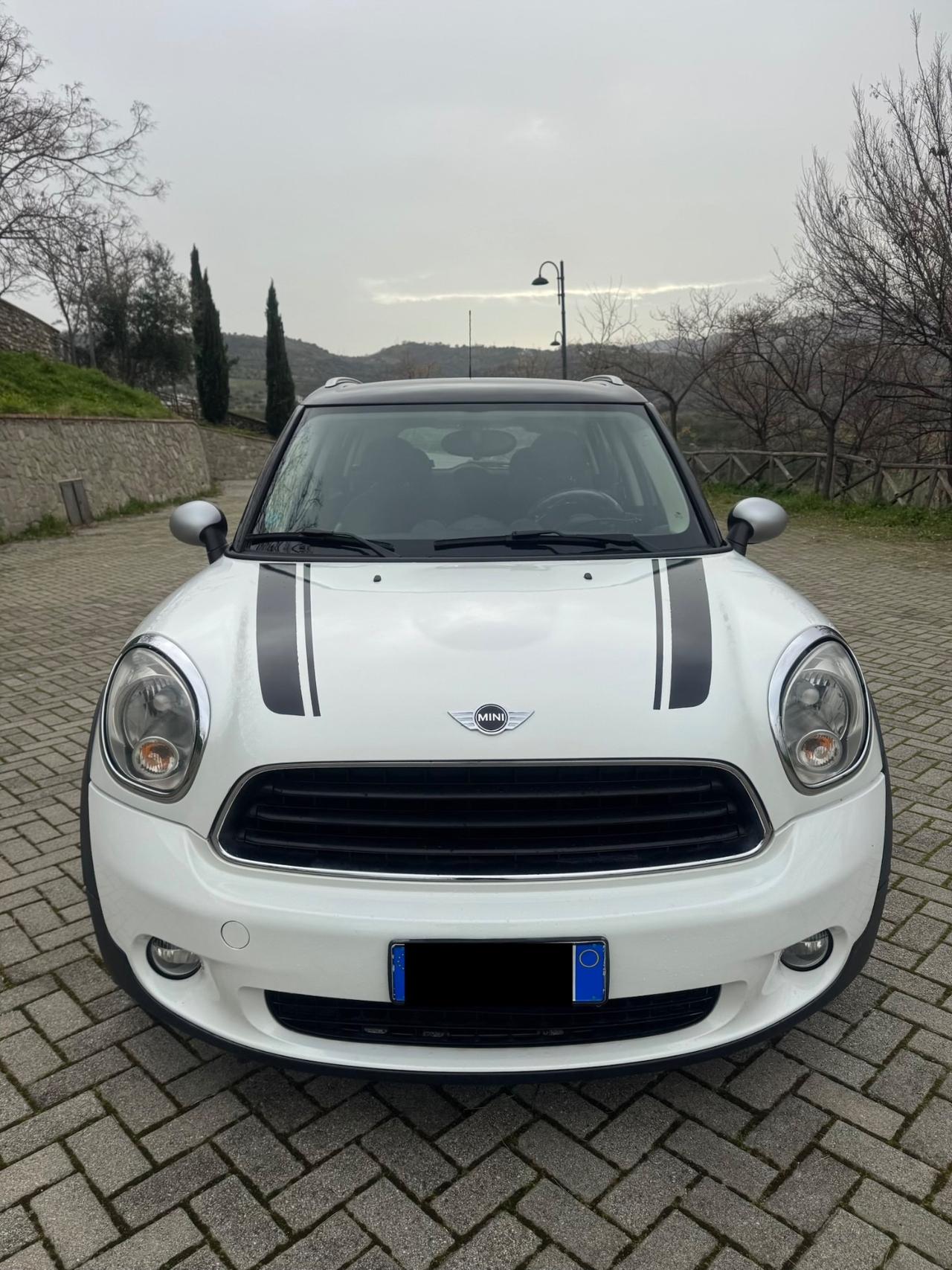 Mini Countryman 1.6 Diesel 110Cv 2010