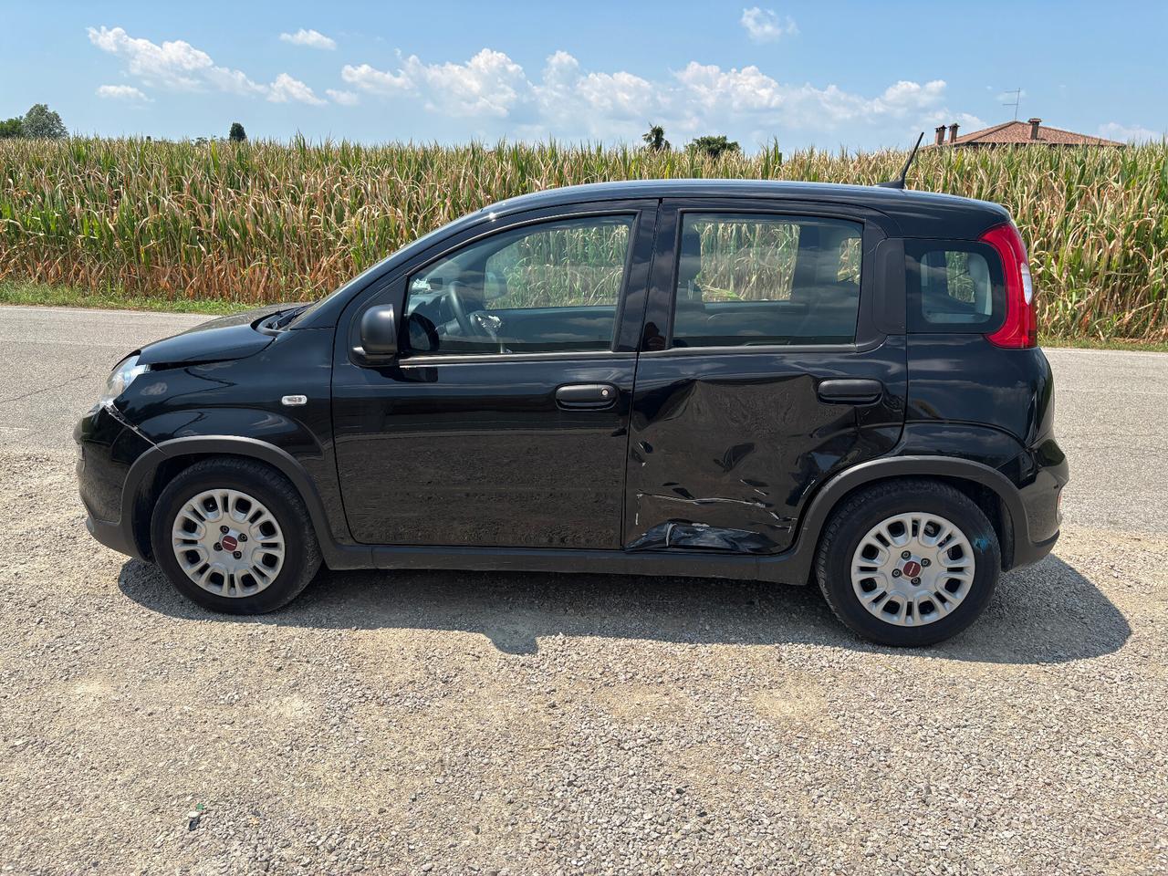 Fiat Panda Cross 1.0 FireFly S&S Hybrid
