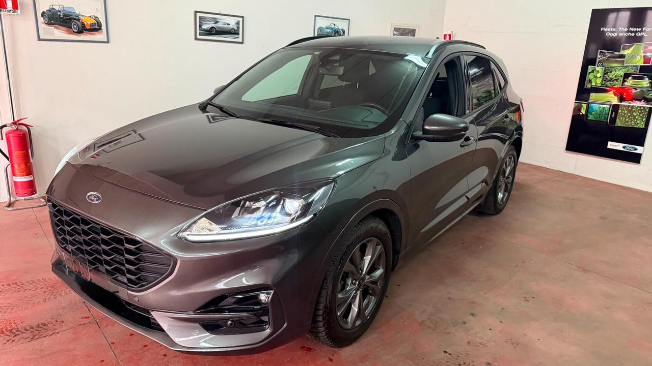 Ford Kuga 1.5 EcoBlue 120 CV 2WD ST-Line in arrivo