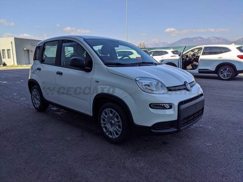 FIAT Panda My23 1.0 70cv Hybrid Panda