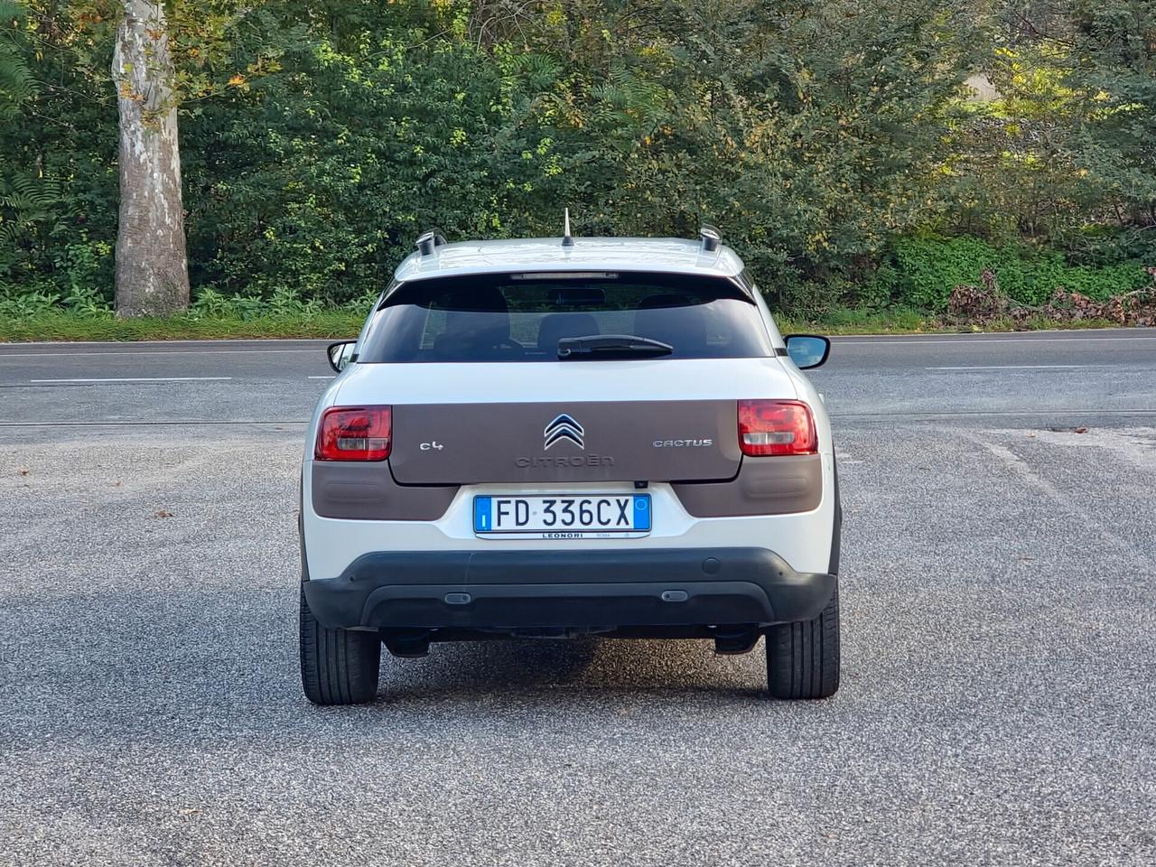 Citroen C4 Cactus BlueHDi 100 S&S Shine 2016-E6B Manuale