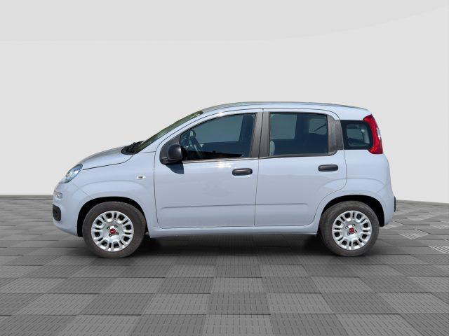 FIAT Panda Panda 1.0 FireFly Hybrid