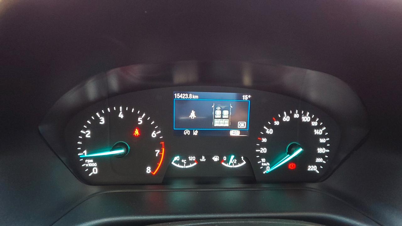 Ford Puma 1.0 EcoBoost Hybrid 125 CV S&S Titanium