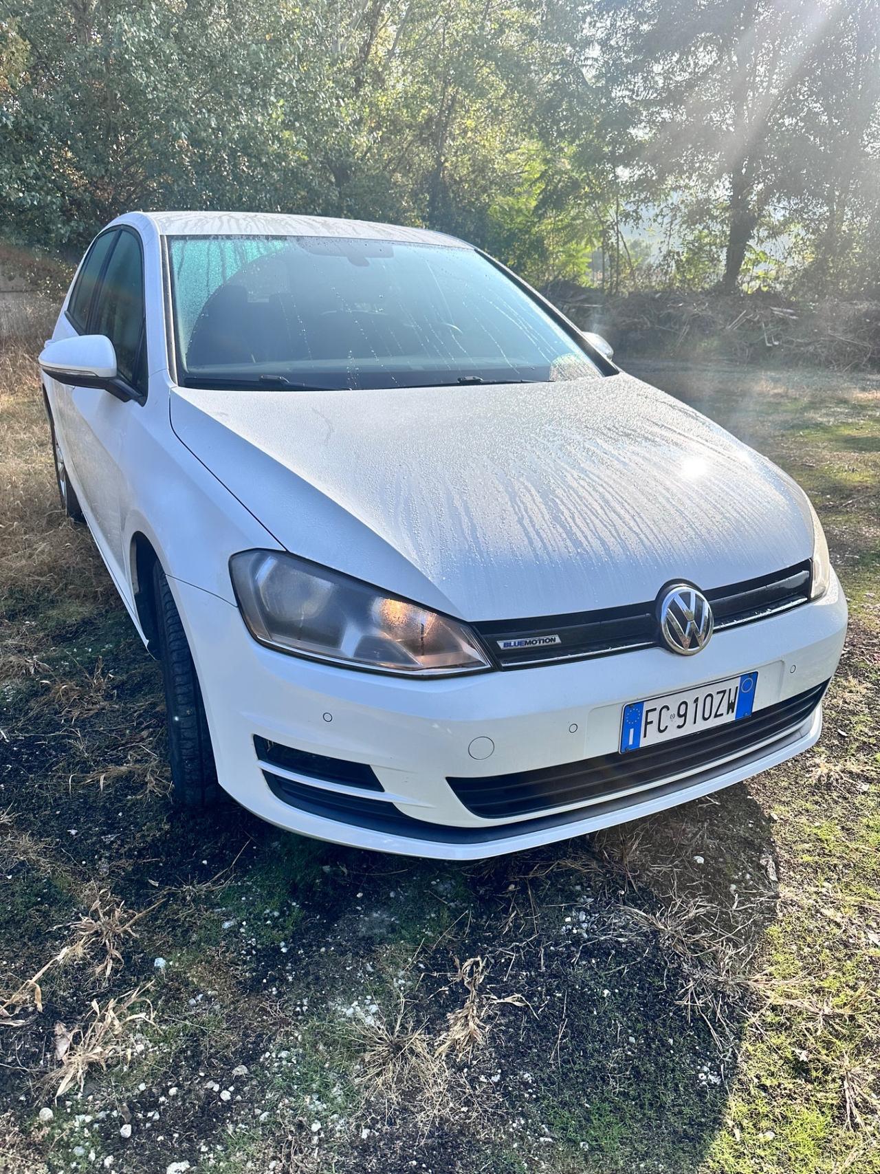 Volkswagen Golf 1.4 TGI 5p. Comfortline BlueMotion