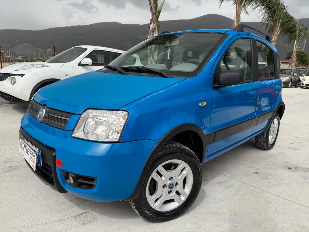 FIAT PANDA 4x4 2006 1.3 MJT 69 CV