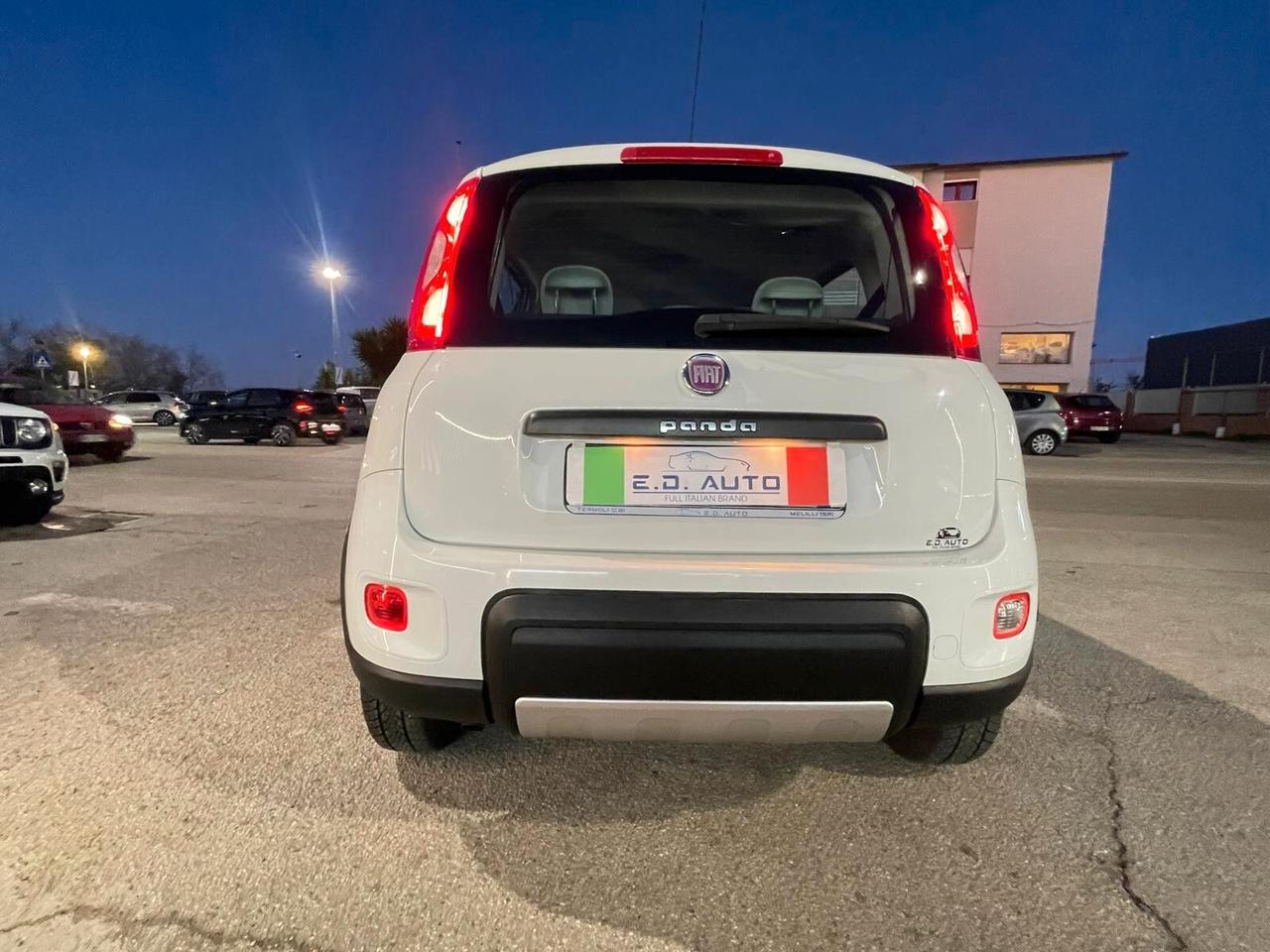 Fiat Panda 1.3 MJT S&S 4x4 Antartica