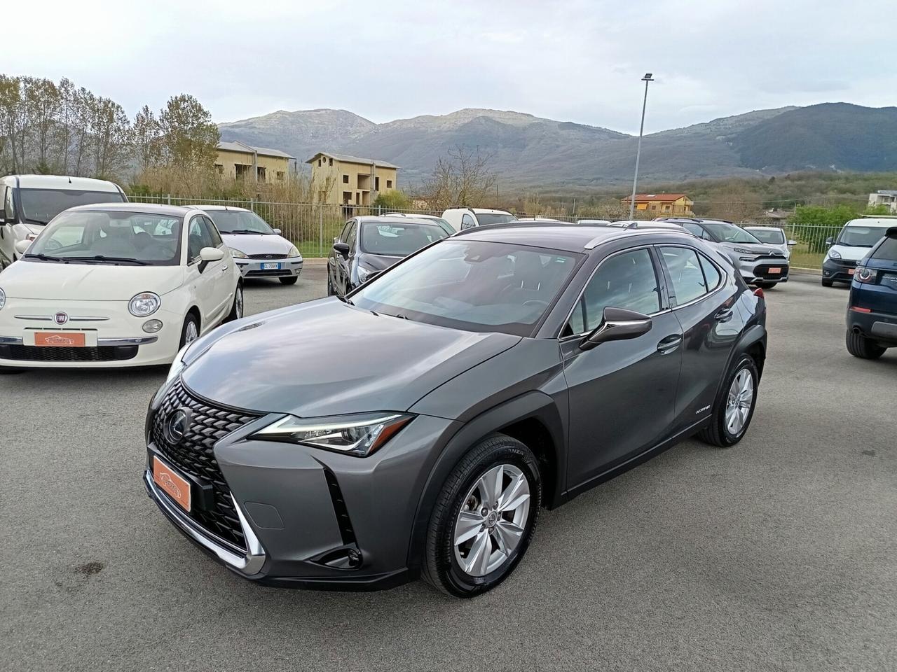 Lexus UX UX 250h 2.0 Business 2WD CVT MY20
