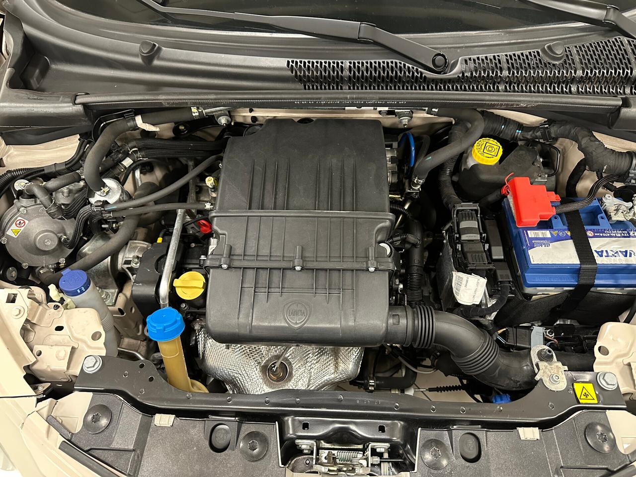 Lancia Ypsilon 1.2 69 CV 5P GPL Ecochic Gold 2017