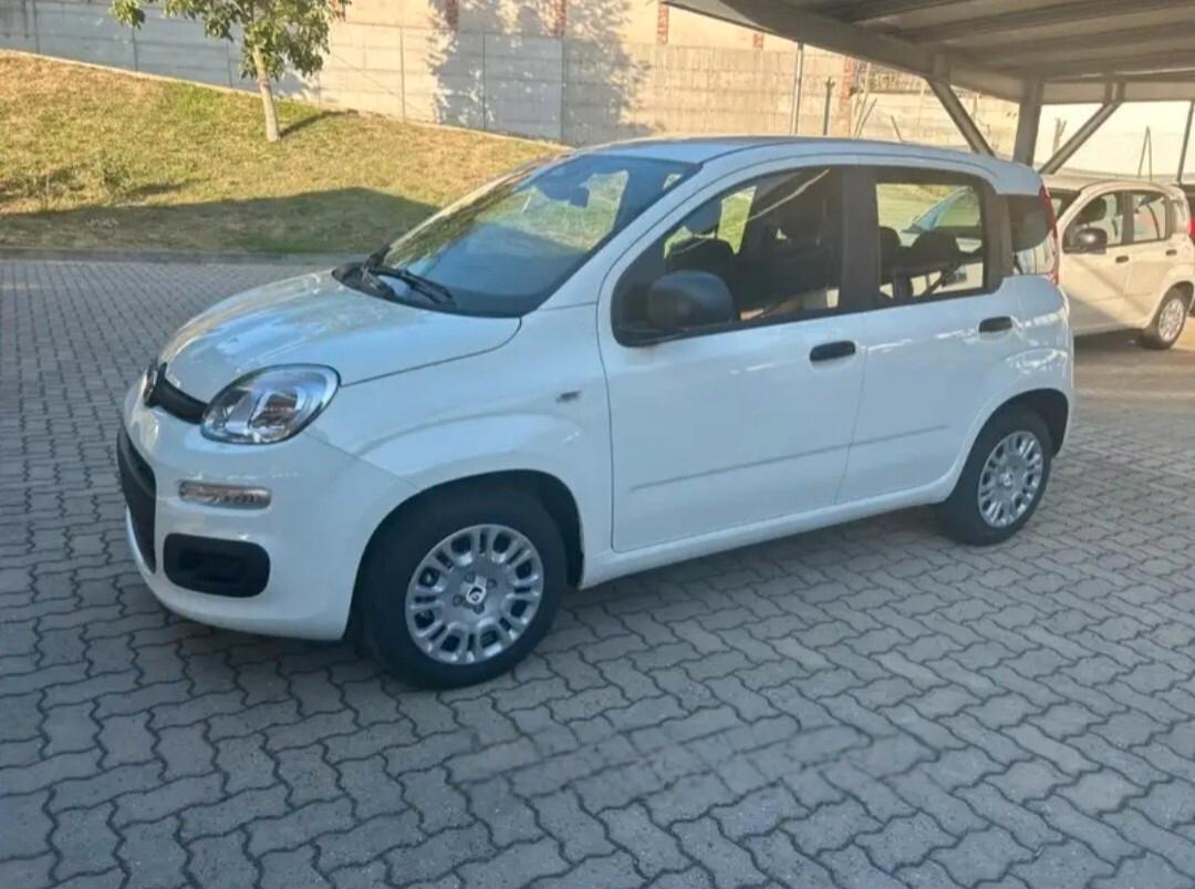 Fiat Panda 1.0 FireFly S&S Hybrid Pandina