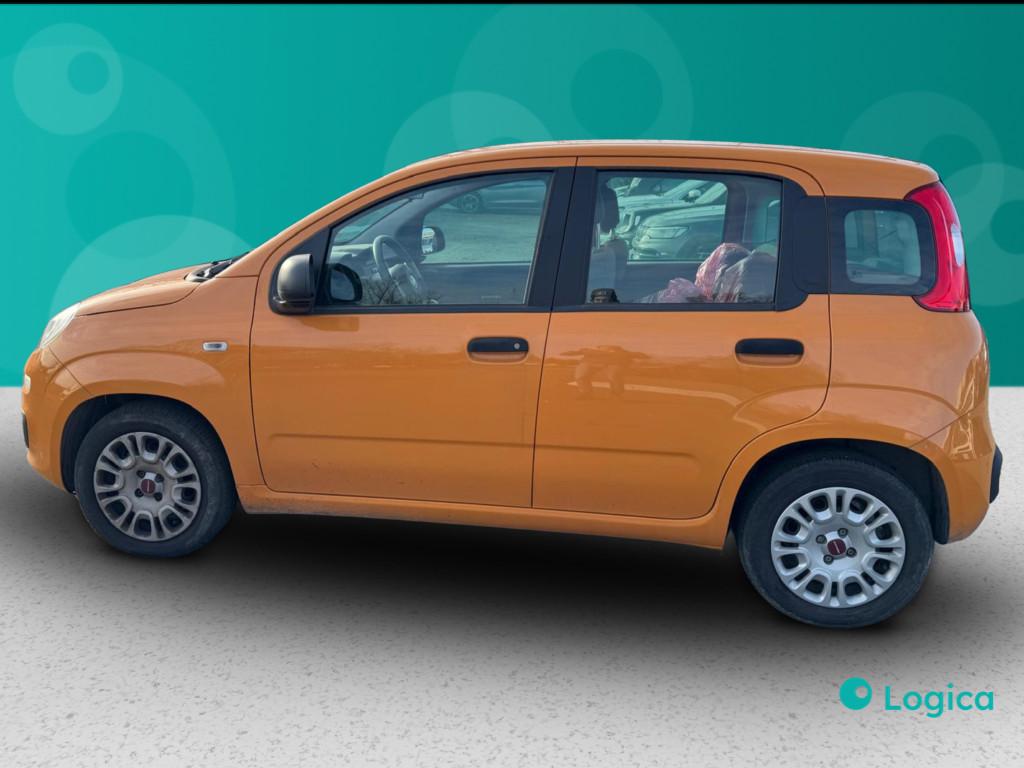 FIAT Panda III 2021 - Panda 1.0 firefly hybrid s&s 70cv