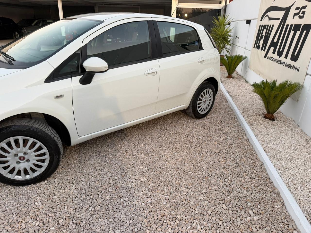 Fiat Punto 1.4 8V 5 porte Natural Power Lounge