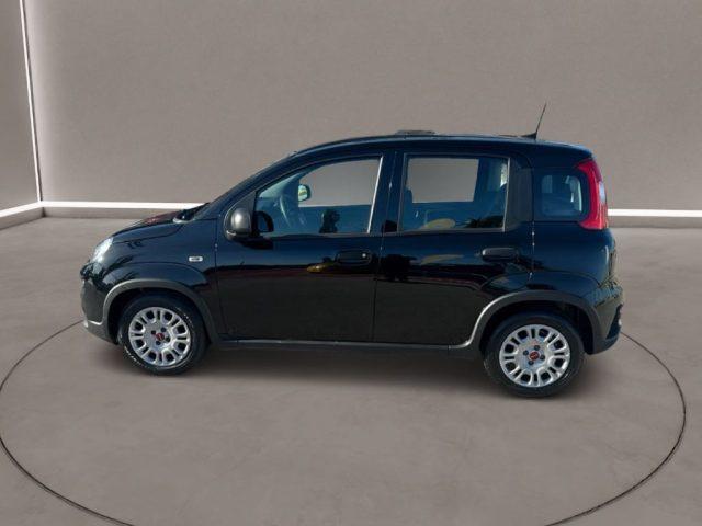 FIAT Panda 3ª serie - 1.0 FireFly S&S Hybrid