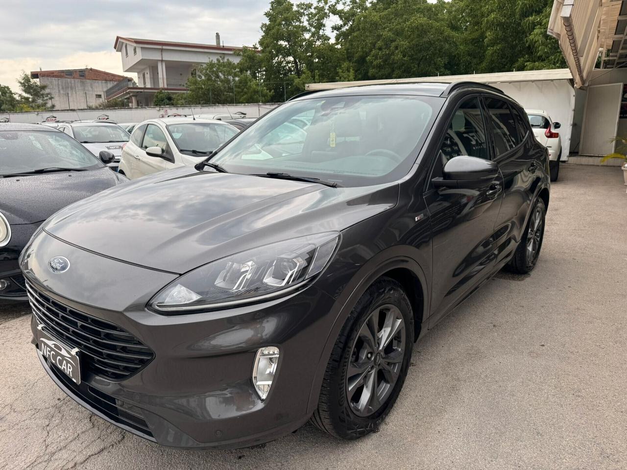 Ford Kuga 1.5 EcoBlue 120 CV aut. 2WD ST-Line