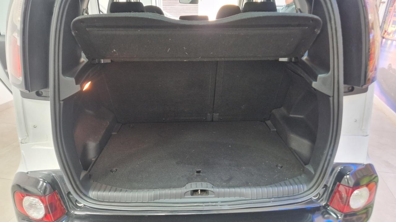 Citroen C3 Picasso BlueHDi 100