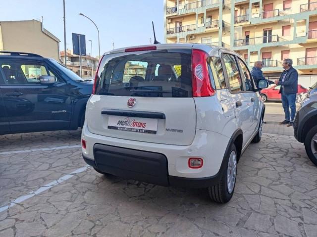 Fiat Panda III FIAT Panda 1.0 firefly hybrid s&s 70cv