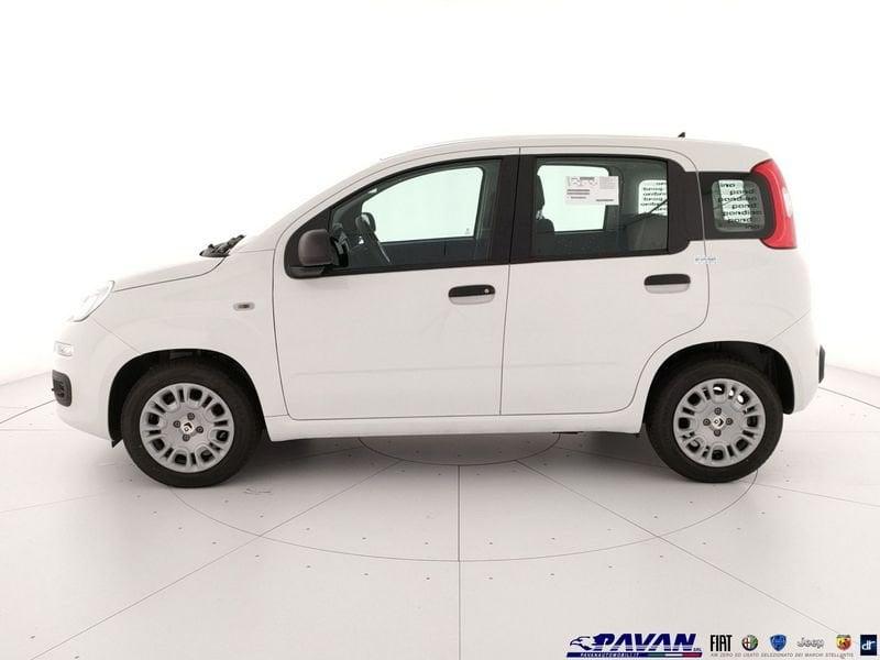 FIAT Pandina Panda 1.0 FireFly 65 CV Hybrid Pop