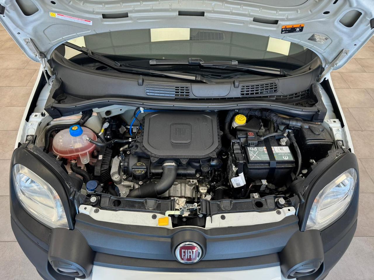 Fiat Panda Cross 1.0 FireFly S&S Hybrid-2024