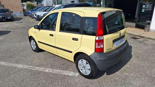 Fiat Panda Panda 1.1 Active eco (active) PER NEOPATENTATO