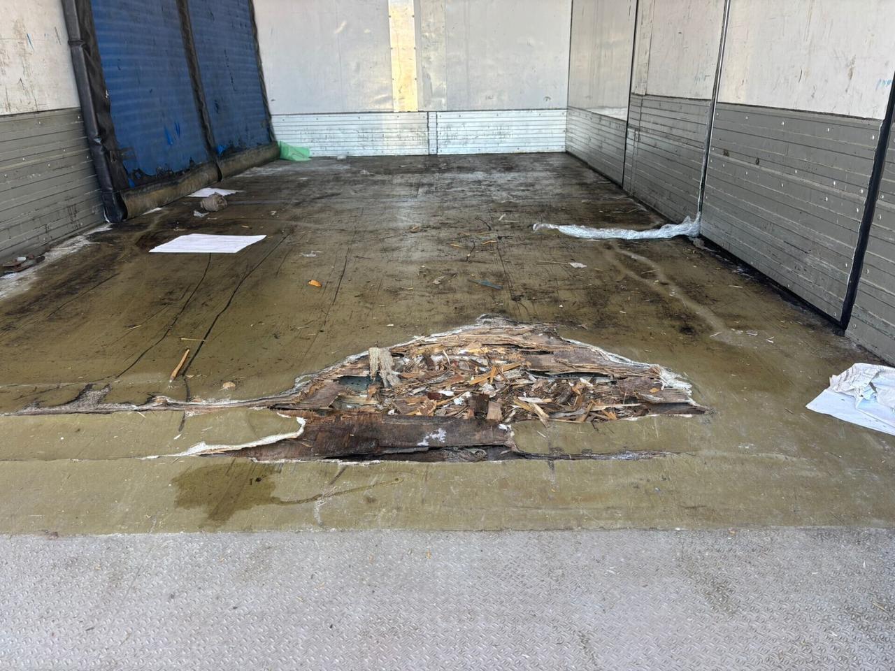 Iveco Ecodaily Daily cella frigo