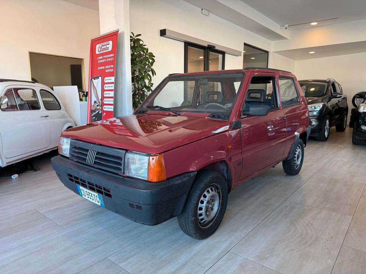 Fiat Panda 1100 i.e. cat Young