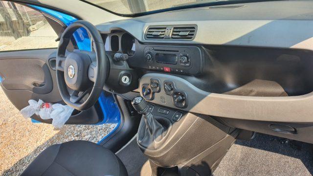 FIAT Panda 1.2 Pandazzurri UNICA-PREZZO REALE-FINANZIABILE