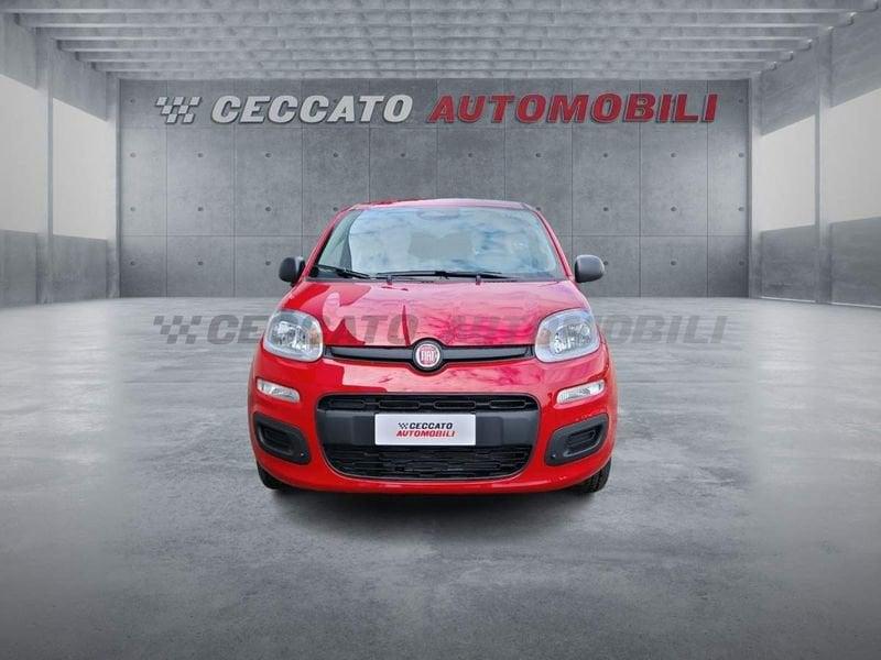 FIAT Panda Panda 1.0 firefly hybrid s&s 70cv