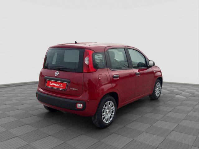 FIAT Panda Pandina 1.0 FireFly 65 CV Hybrid Pop